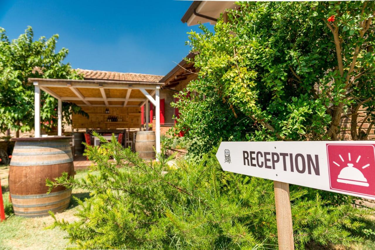Bed and Breakfast Il Barbagianni Montepescali Zewnętrze zdjęcie