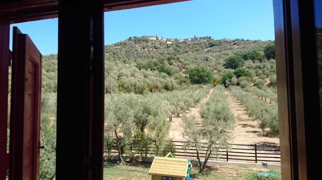 Bed and Breakfast Il Barbagianni Montepescali Zewnętrze zdjęcie