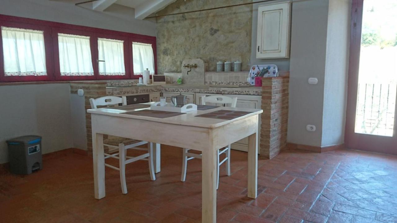 Bed and Breakfast Il Barbagianni Montepescali Zewnętrze zdjęcie