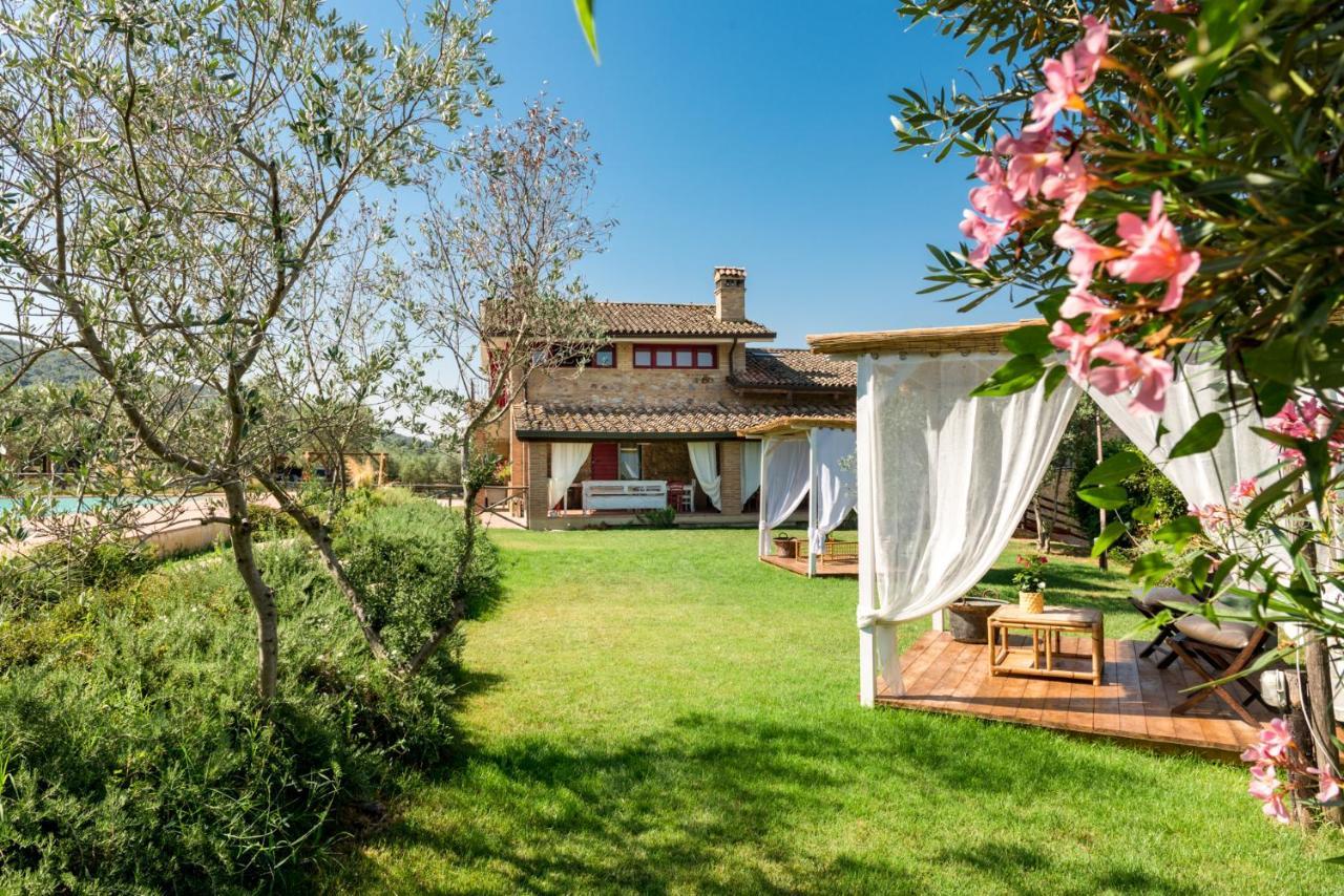Bed and Breakfast Il Barbagianni Montepescali Zewnętrze zdjęcie