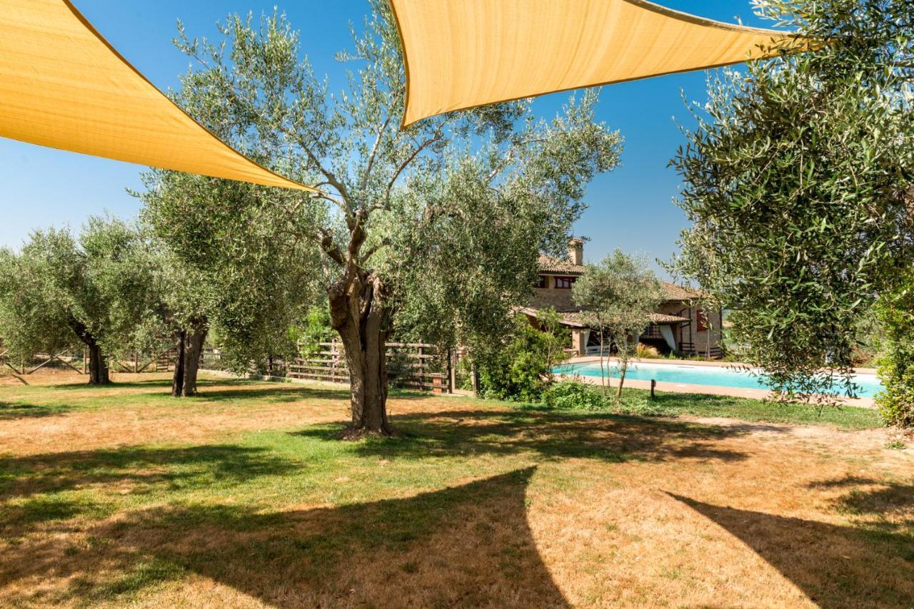 Bed and Breakfast Il Barbagianni Montepescali Zewnętrze zdjęcie