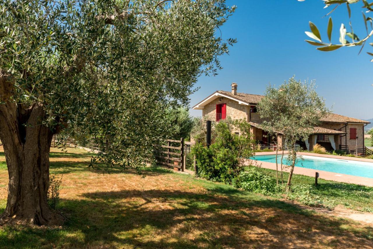Bed and Breakfast Il Barbagianni Montepescali Zewnętrze zdjęcie