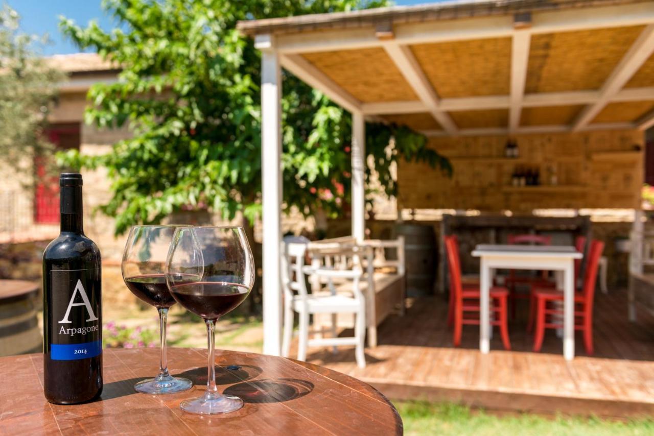 Bed and Breakfast Il Barbagianni Montepescali Zewnętrze zdjęcie