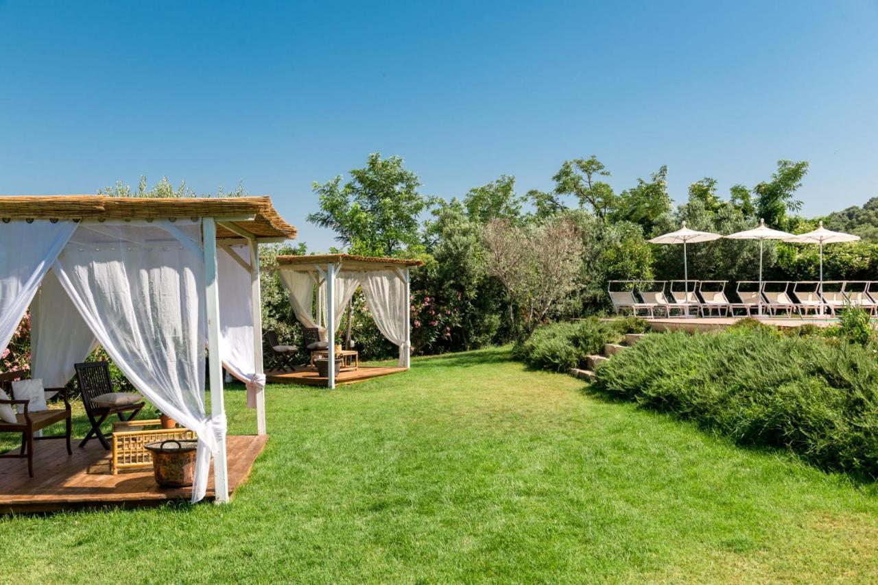 Bed and Breakfast Il Barbagianni Montepescali Zewnętrze zdjęcie